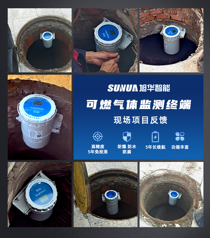 利来国际智慧-可燃气体监测仪